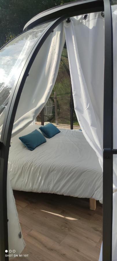 Les Perles Catalanes Bed and Breakfast Vinca Buitenkant foto